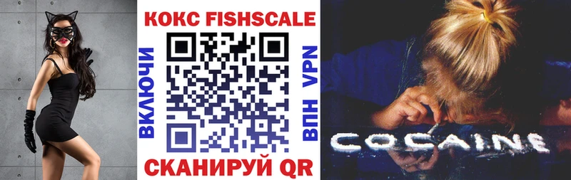 MEGA зеркало  Пенза  КОКАИН Fish Scale  купить наркотики цена 