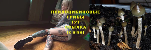 круглые Алексин