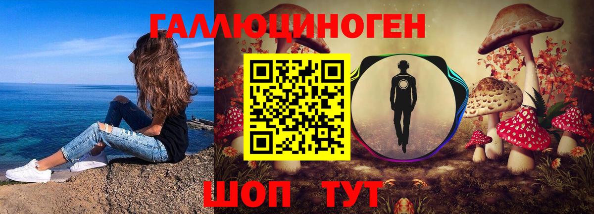 где купить   Псилоцибиновые грибы мухоморы  Вход с VPN  Пенза 